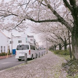 里