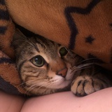 慕容狗蛋