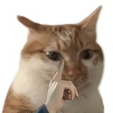 vfdxhhjugdr