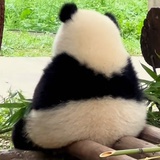 庄十亿