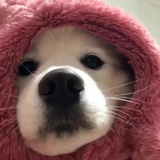 今天没下雨