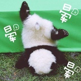 咕噜咕噜哒🌱
