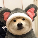 店长