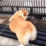 不知道又怎样