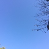 谢谢