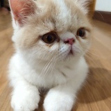 不想起名字了