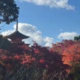 春田花花幼稚园