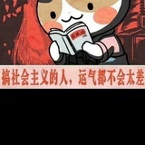 爱啃柚子的喵