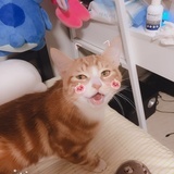 暗涌