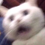 我咬你哦
