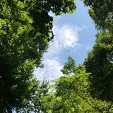 少年PHOTO