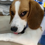 记录生活小丸子