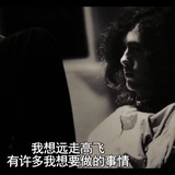 鹏