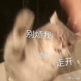 小w知夏