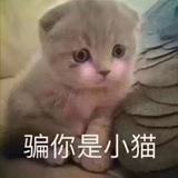 听着音乐。
