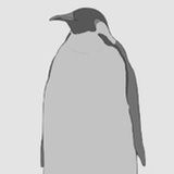 Penguin-san