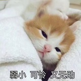 我在这里