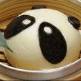星星吃米饼的猫