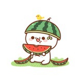 啥都能记住