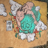 朝天椒。
