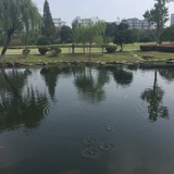 倬比昊天