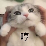 墨柒