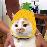 百事可乐