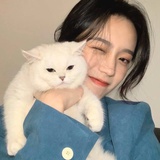 不羁的风
