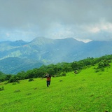 大知闲闲