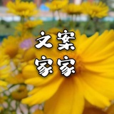 贰树文案