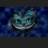 柴郡猫小姐