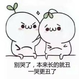 老贺