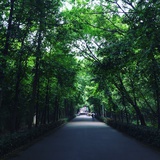 wanmaoxun