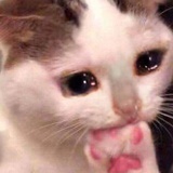 喇叭花
