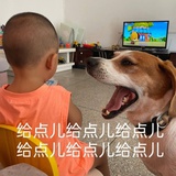 mimimi