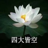 放我进组！