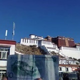 黑豆
