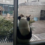 任霄瑶
