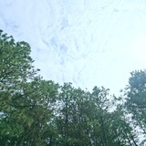 芃