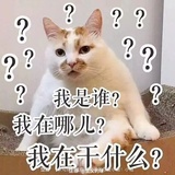 磊货