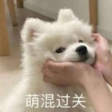 默默emo
