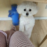 黑板