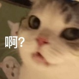 吃吃⠀