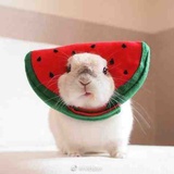悦人