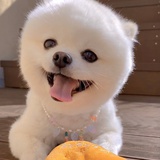 喜之郎