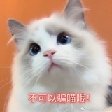 白毛阁大学士