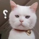 小圆面包