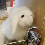 白昼