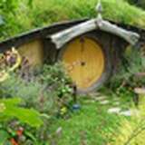 森林小屋