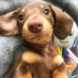 豆友154387854